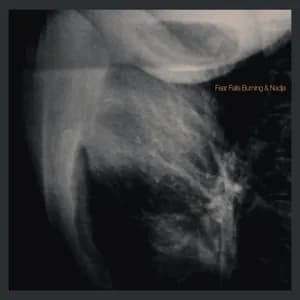 Fear Falls Burning avatar