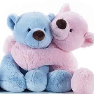 Cassandra Fox avatar