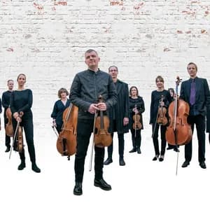 Orchestra of the Swan avatar