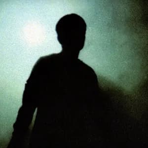 Flawed Mangoes avatar