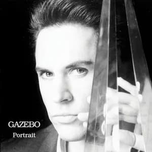 Gazebo avatar