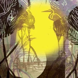 Canalón de Timbiquí avatar