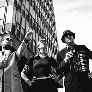 International Teachers of Pop avatar