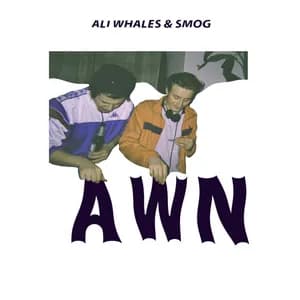 Ali Whales avatar