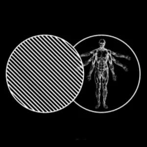 Occasionally Humans avatar