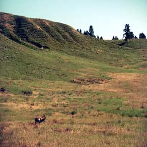 Across Tundras avatar