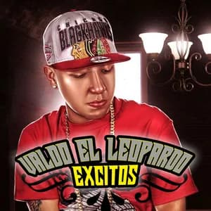 Valdo el Leopardo avatar