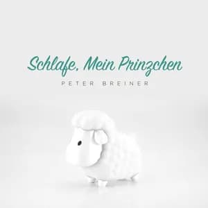 Bernhard Flies avatar