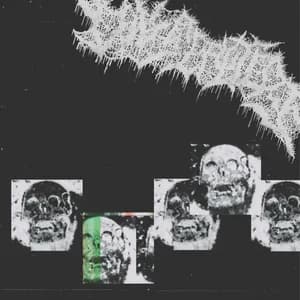 VIVISEPULTURE avatar