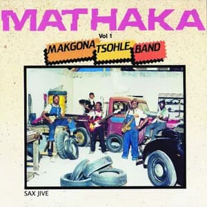 Makgona Tsohle Band avatar
