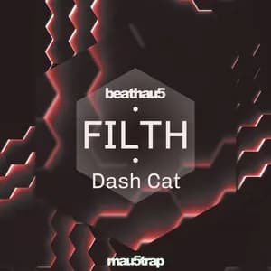 Dash Cat avatar