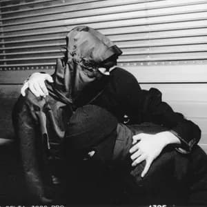 Big Animal Theory avatar