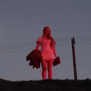 Brooke Williams avatar