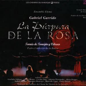 Susanna Moncayo avatar