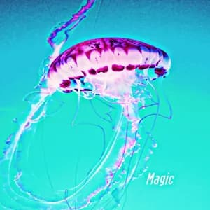 Justin Chancellor avatar