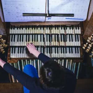 Claire M Singer avatar