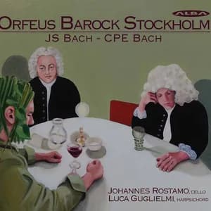 Johannes Rostamo avatar