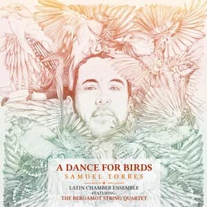 Samuel Torres avatar