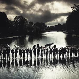 Svenska Kammarorkestern avatar