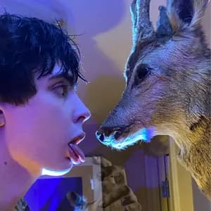 Worldwide Princess avatar