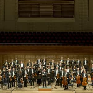 Luzerner Sinfonieorchester avatar