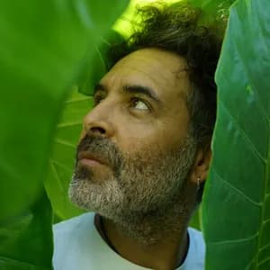 Yacaré Manso avatar