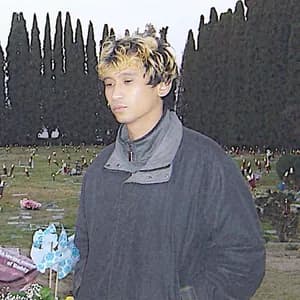 Michael Seyer avatar