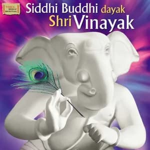 Sawani Shende avatar