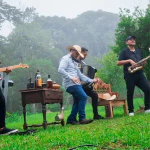 Biu do Piseiro avatar