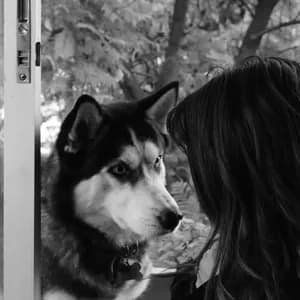 Alberto Droguett avatar