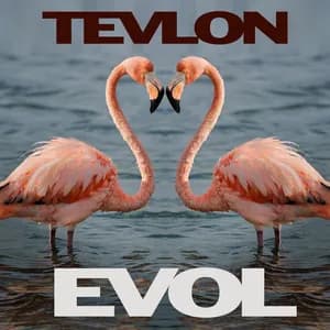 Tevlon avatar
