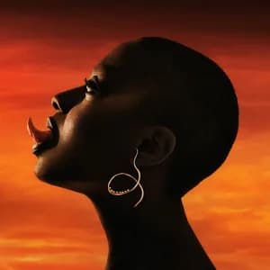 Cécile McLorin Salvant avatar