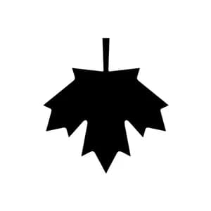 Alaclair Ensemble avatar