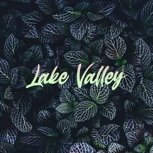 Lake Valley avatar