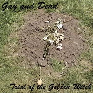 Trial of the Golden Witch avatar