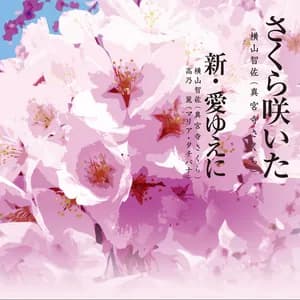 真宮寺さくら avatar