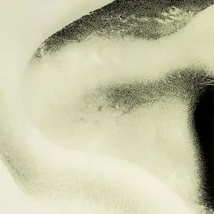 Global Communication avatar