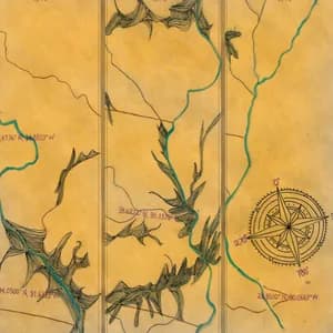 Shannon Murray avatar