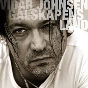 Vidar Johnsen avatar