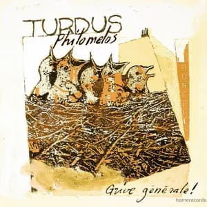 Turdus Philomelos avatar