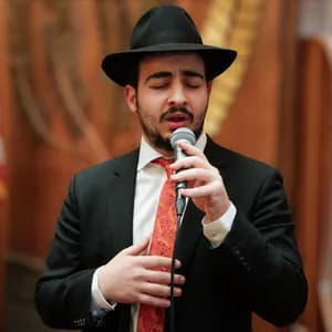 Hillel Zaltsman avatar