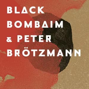 Black Bombaim avatar