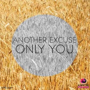 Another Excuse avatar