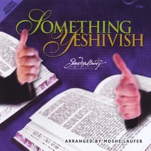 Sheya Mendlowitz avatar