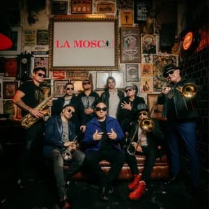 La Mosca Tsé-Tsé avatar