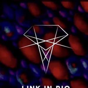 Linka & Mondello avatar