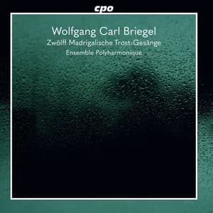 Wolfgang Carl Briegel avatar