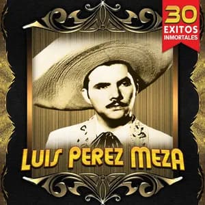 Luis Pérez Meza avatar