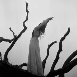 Allison Lorenzen avatar