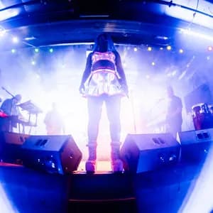 Doom Flamingo avatar